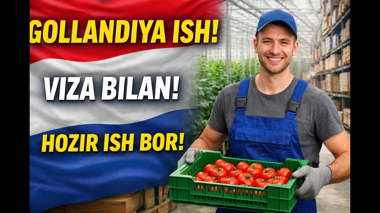 NIDERLANDIYA MAVSUMIY ISH SAYTLARI