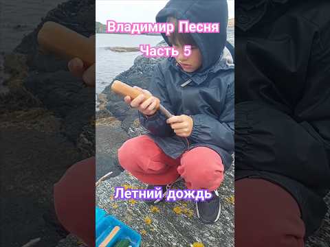 Владимир Песня / Летний Дождь #песнисосмыслом #shprtsvideo #отдых