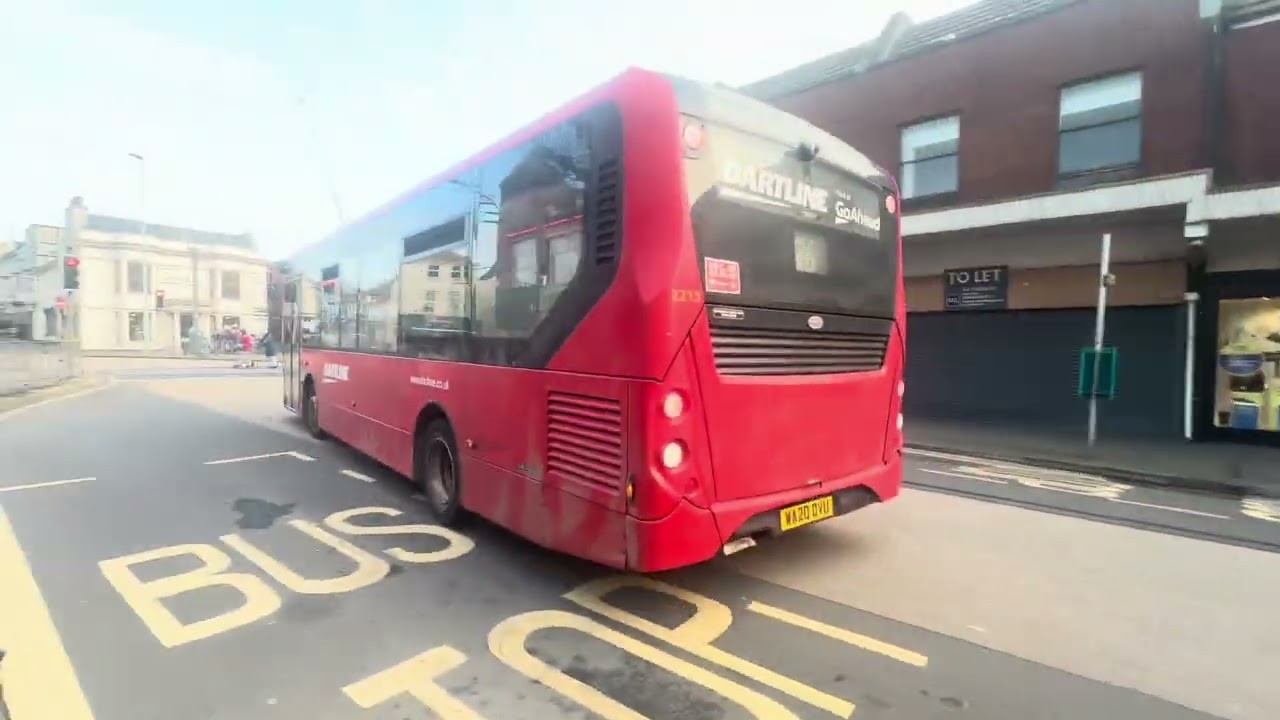 Buses and birds around exmouth 