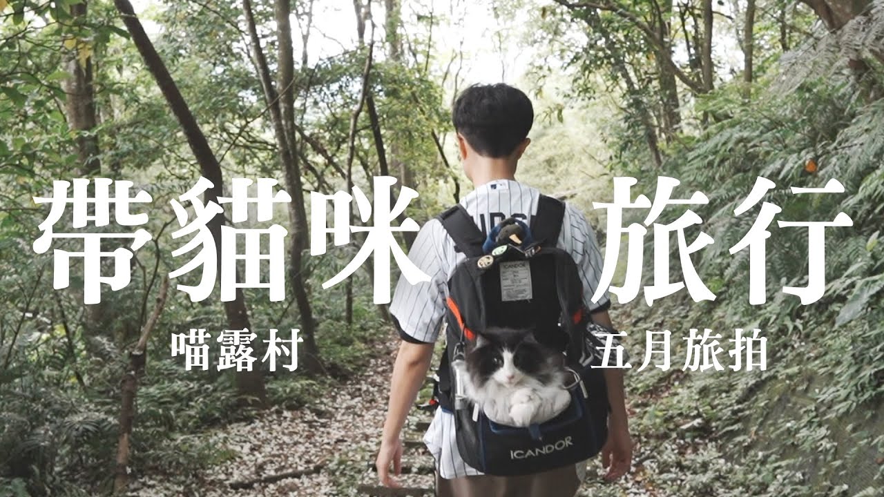 帶五隻貓咪一起爬山探險、遇見五月雪超驚喜！喵露村五月旅拍｜三峽白雞行修宮登山步道｜和那堤旅行 EP137
