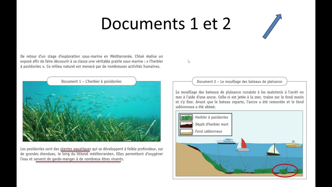 CE1D Sciences 2022 question 2 YouTube