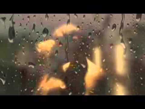 სიყვარულის მელოდია...