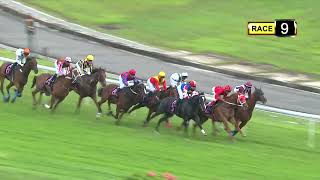 Vidéo de la course PMU CLASS 4