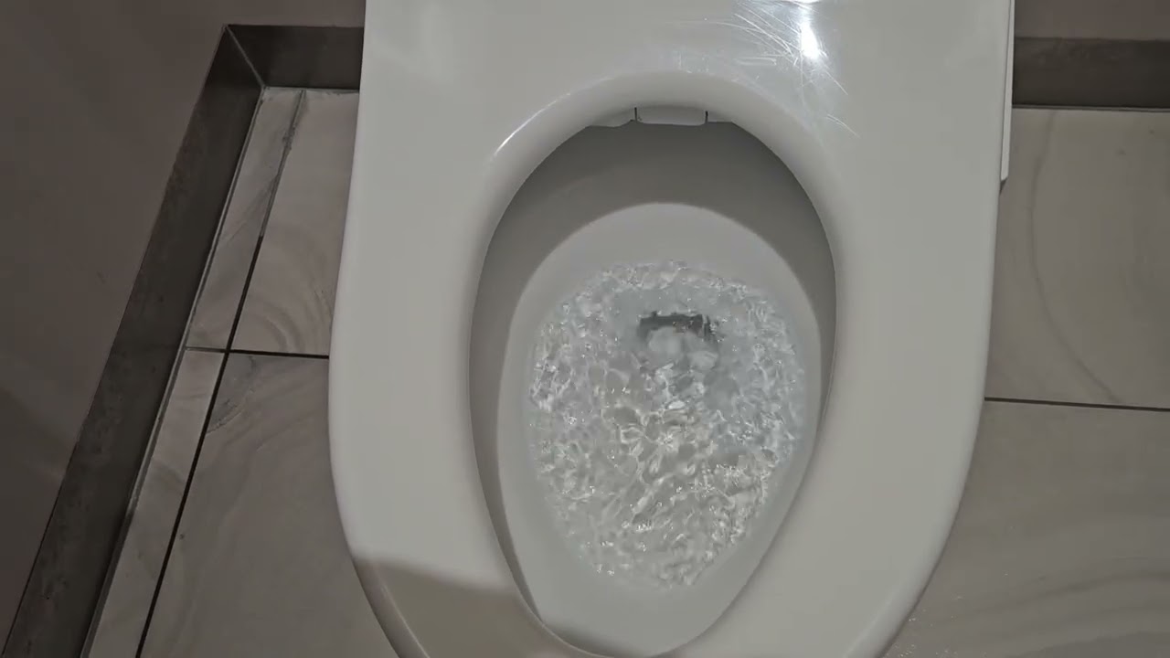 設備 内装 🚽 🚺 water closet サニタ 環境音 ASMR asmr Japanese toilet 2026年5月16日