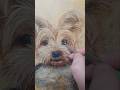 Pet Portrait | Yorkie | painting |Jason Street