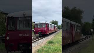 Die „Ferkeltaxe“ in Doppeltraktion auf der Strecke Lauterbach-Mole nach Bergen. #Bahnhofsfest Putbus