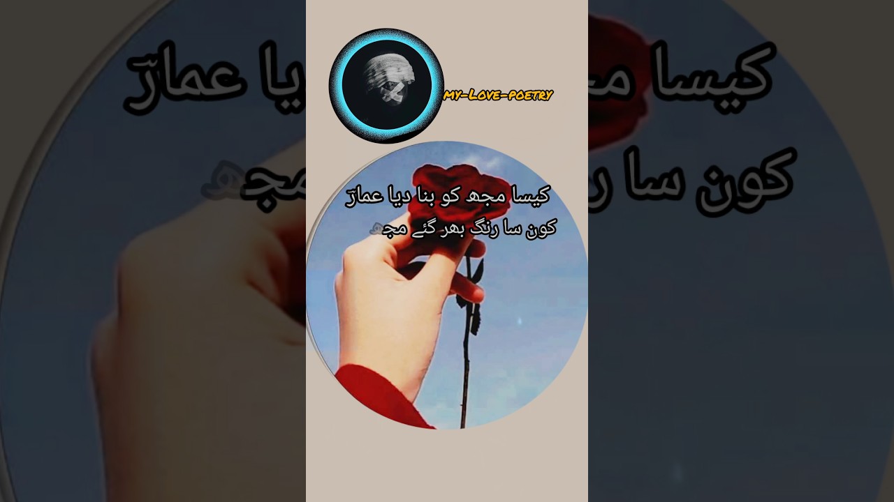 new update videos status poetry video 📷 poetry 