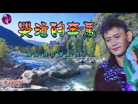 哭泣的奔馬   羅文〈歌手演唱版〉