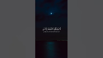 فلا تعجل عليهم إِنّما نعدّ لهم عدّا سورة مريم قرآن كريم   القارئ عبد الرحمن مسعد