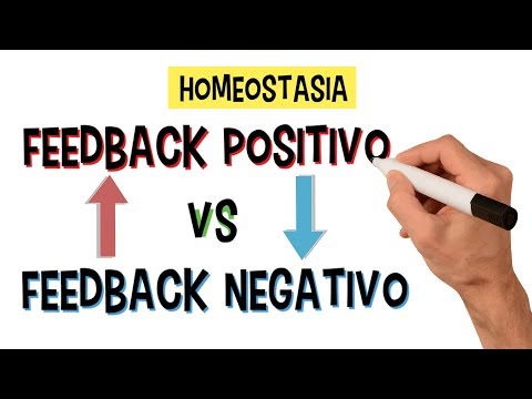 O que é Homeostasia | Feedback Positivo e Feedback Negativo | Mecanismos de Retroalimentação