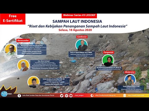 Video: Para Saintis Telah Melaporkan Peningkatan Permukaan Laut Yang Dipercepat - Pandangan Alternatif