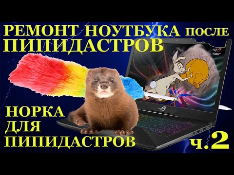Ремонт ноутбуков после пипидастров ч.2 Игровой ноутбук Asus ROG GL702VMK и норка для пипидастров
