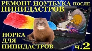 Ремонт ноутбуков после пипидастров ч.2 Игровой ноутбук Asus ROG GL702VMK и норка для пипидастров