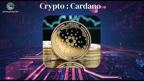 CARDANO : What You Need to Know! 2024