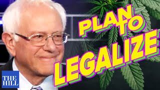 Bernie Sanders policy director unveils new plan to legalize marijuana