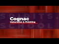 Diving into Advanced Cognac Maturation - Lecture 336a