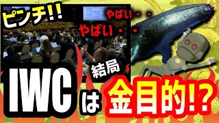 【海外の反応】日本のIWC脱退「分担金目当てだった！？」IWCがその後焦る結果になった自業自得なワケ【ハイスペック太郎】