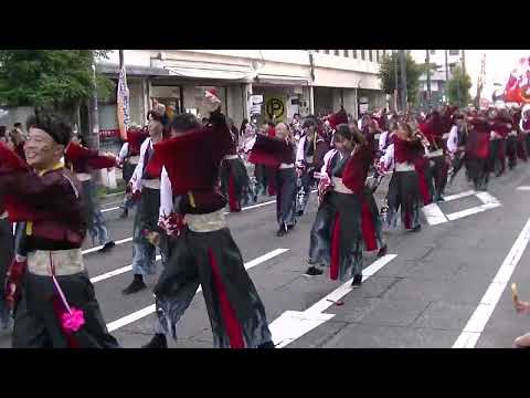 2023　銭形よさこい 香川大学よさこい連風華