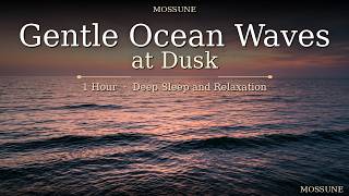 Gentle Ocean Waves at Dusk · 1 Hour for Deep Sleep and Relaxation
