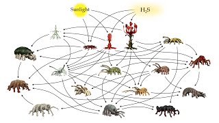 Alien Biospheres: Part 5  Terrestrial Diversity and Ecology