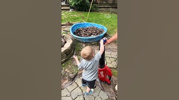 I’ve watched this way too many times #shorts #funny #fails