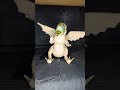 Making Shovelhelm #toy #HowToTrainYourDragon #HTTYD #artdoll #dragon #howtotrainyourdragon #handmade