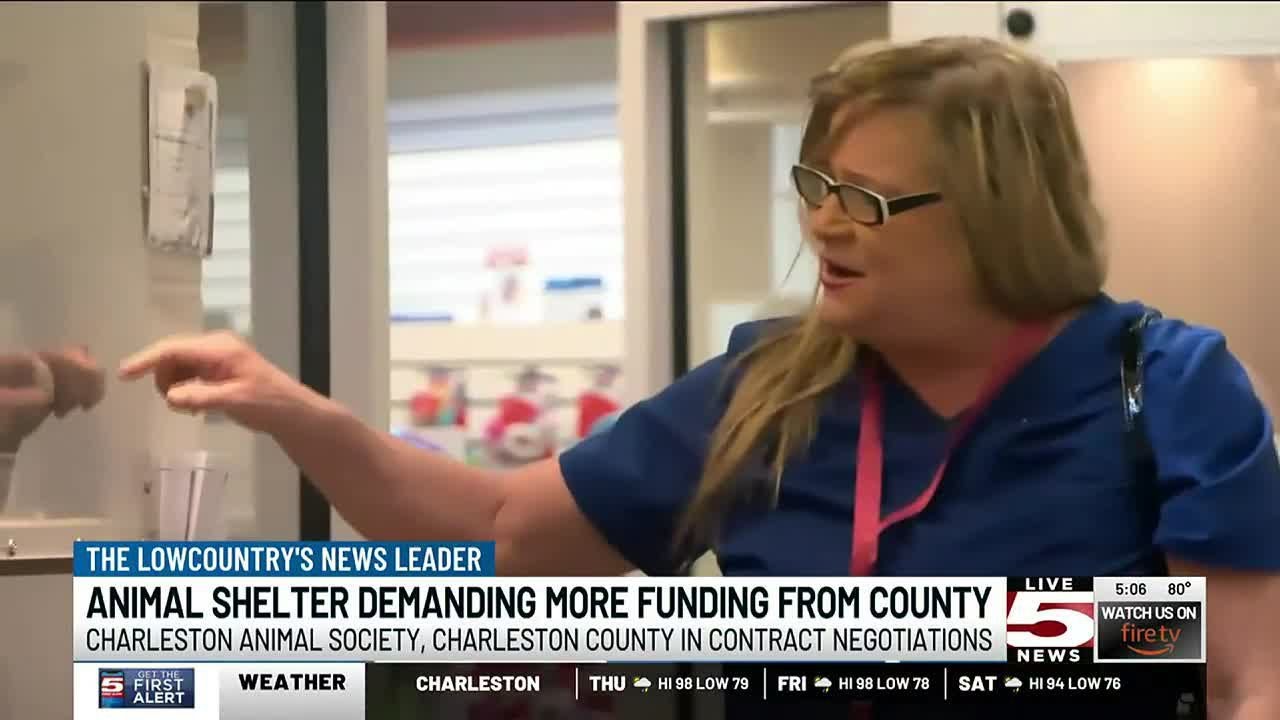 VIDEO: Charleston Animal Society calling on Charleston County for more funding
