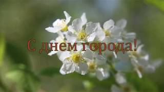 'Давайте превратим Читу в красивый город?' Поздравление от Забайкальского краеведческого музея
