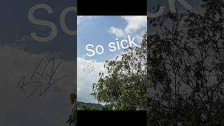 So Sick (Lyrics) #shorts #lyrics #music
