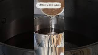 Filtering Maple Syrup