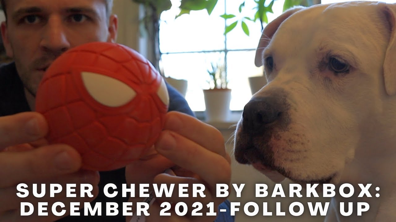 Super Chewer by Barkbox December 2021: Follow up