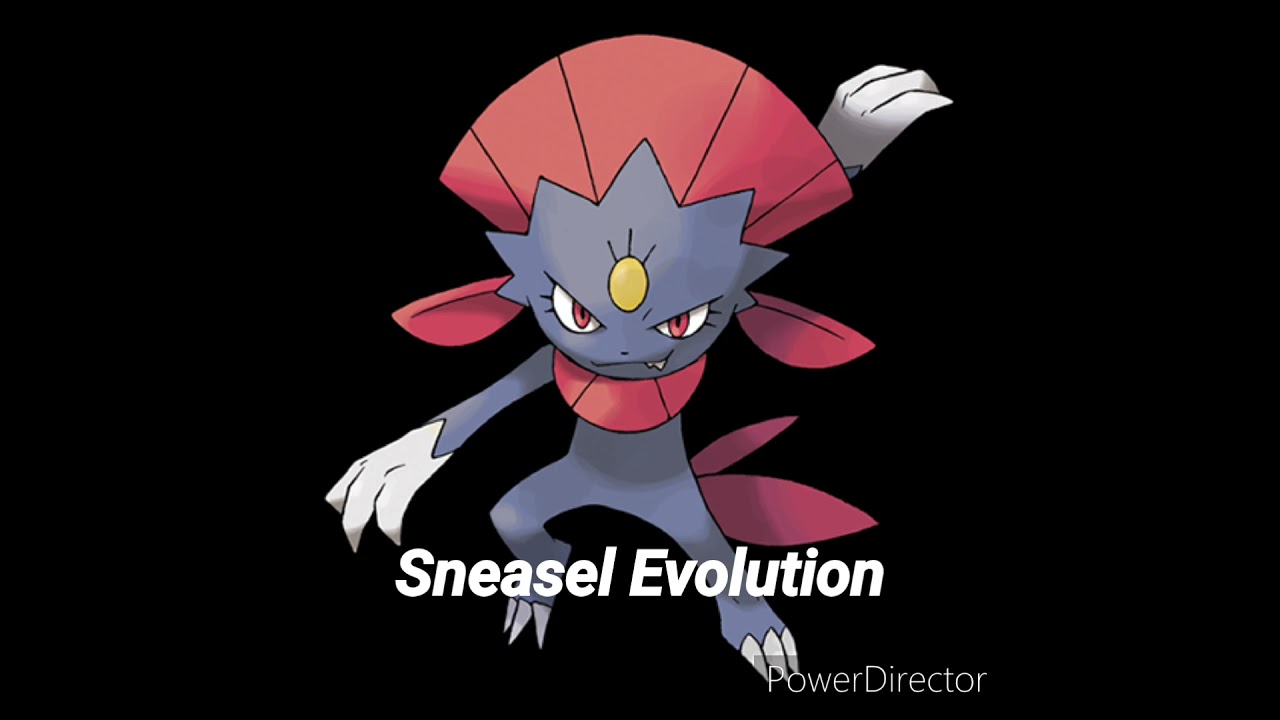 Sneasel Evolution 