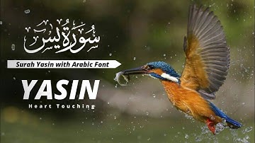 Surah Yasin (Yaseen) سورة يس | Relaxing Voice Luminous Quran | #quran