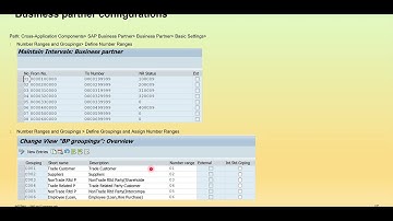 Customer Vendor Integration-CVI Part 4 (SAP S4/HANA) BP configuration: Define, Assign Number Ranges