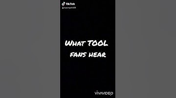 TOOL fans vs. Non TOOL fans