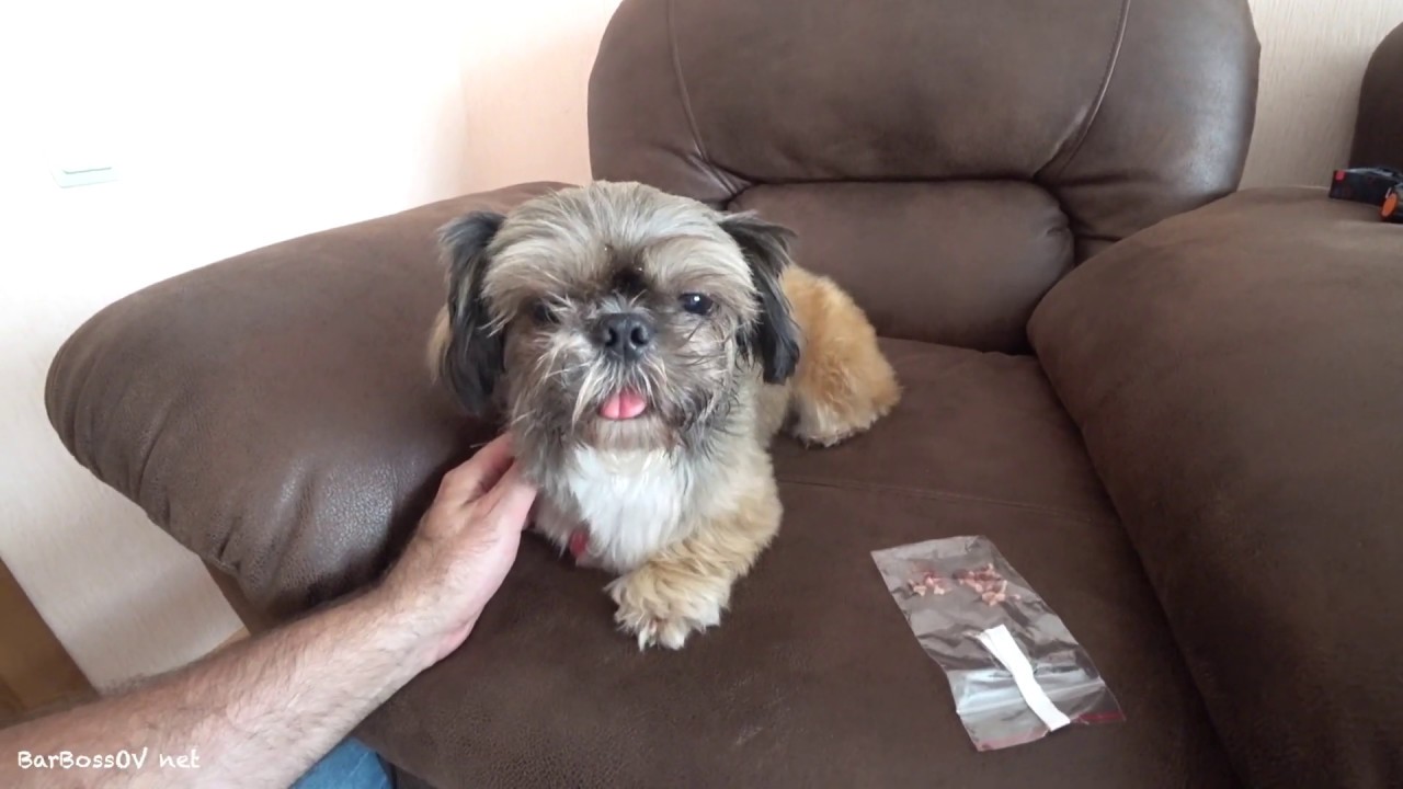 ЖЕСТЬ! Удалили 12 Зубов.Парадонтоз 3-4 Степени!