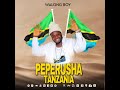 Walong Boy Peperusha Tanzania Official Audio Walong Boy Peperusha Tanzania Official Audio