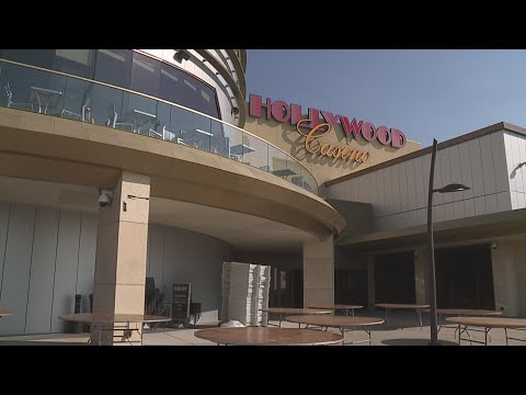 I Put $100 in this Quick Hit Slot Machine and This is What Happened...