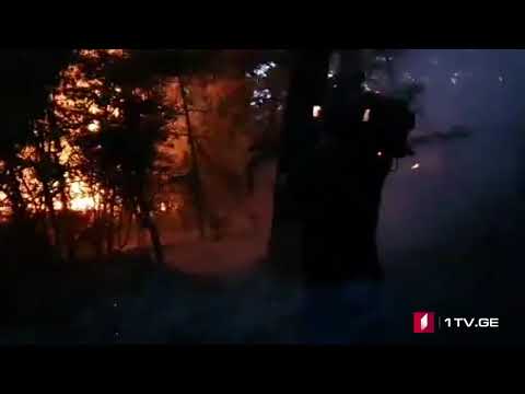 სოფელ საყავრესთან ხანძრის ქრობის პროცესში მეხანძრე-მაშველებთან ერთად ადგილობრივებიც არიან ჩართული