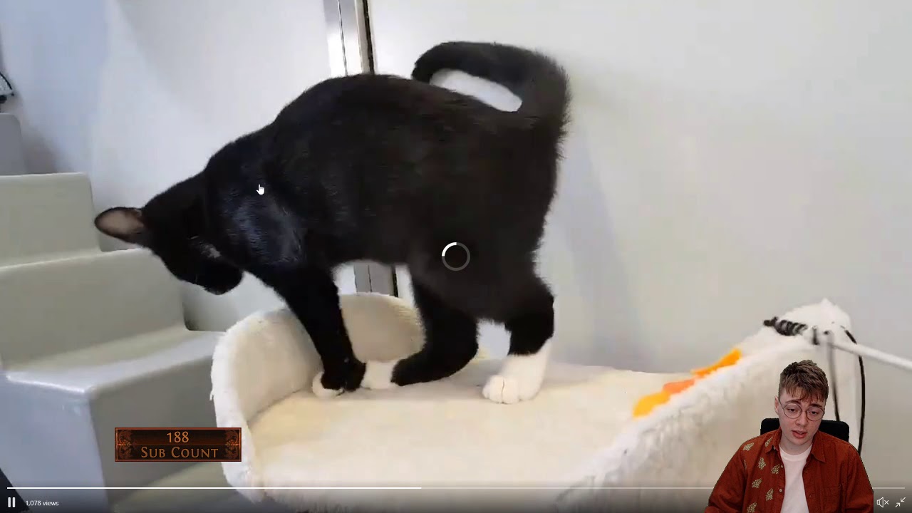 satire comedy Baeclast Tomorrow & Cats