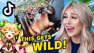 THIS YOU LAUGH YOU LOSE CHALLENGE WAS IMPOSSIBLE!
This You Laugh You Lose Challenge was out of control it was so funny! Pasta and I were LOSING it. 😭😂 Comment down below the moment that made you laugh the most! Thanks for watching. :)
Go watch the other half of this challenge on @PastaReacts’s channel!!
Watch me stream live on Twitch! ► https://twitch.tv/emerome
Watch my fan-run VOD channel ► @emeromeoldvods
SUBSCRIBE! ► https://bit.ly/3bI0rts
Follow on X ► @emerome
Follow on Instagram! ► https://instagram.com/emeromee
Join the Discord! ► https://discord.gg/emerome
Edited by ► https://twitter.com/PigPoacher THIS YOU LAUGH YOU LOSE CHALLENGE WAS IMPOSSIBLE!