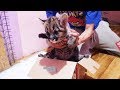 РАСПАКОВКА ГОРНОГО ЛЬВА. Первый день котёнка пумы в новой семье / Cougar kitten’s first day