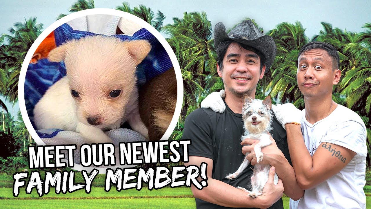 Meet Our New PUPPY # 2 | Vlog #1141