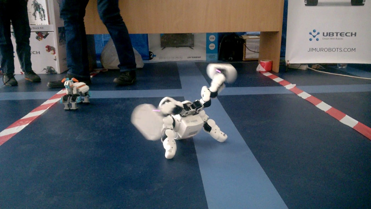 Робот UBTECH Alpha 1Pro/WH/EU