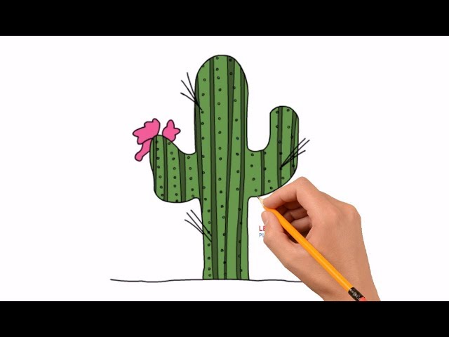 How to Draw a Cactus Step by Step Easy For Kids - YouTube