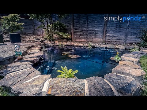 Full Pond Renovation with Waterfall - Time lapse