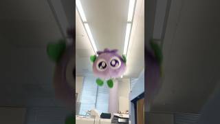 ブルブルくんが帯掛機で遊んでいると#わかさ生活 #ブルブルくん #プリントセンター