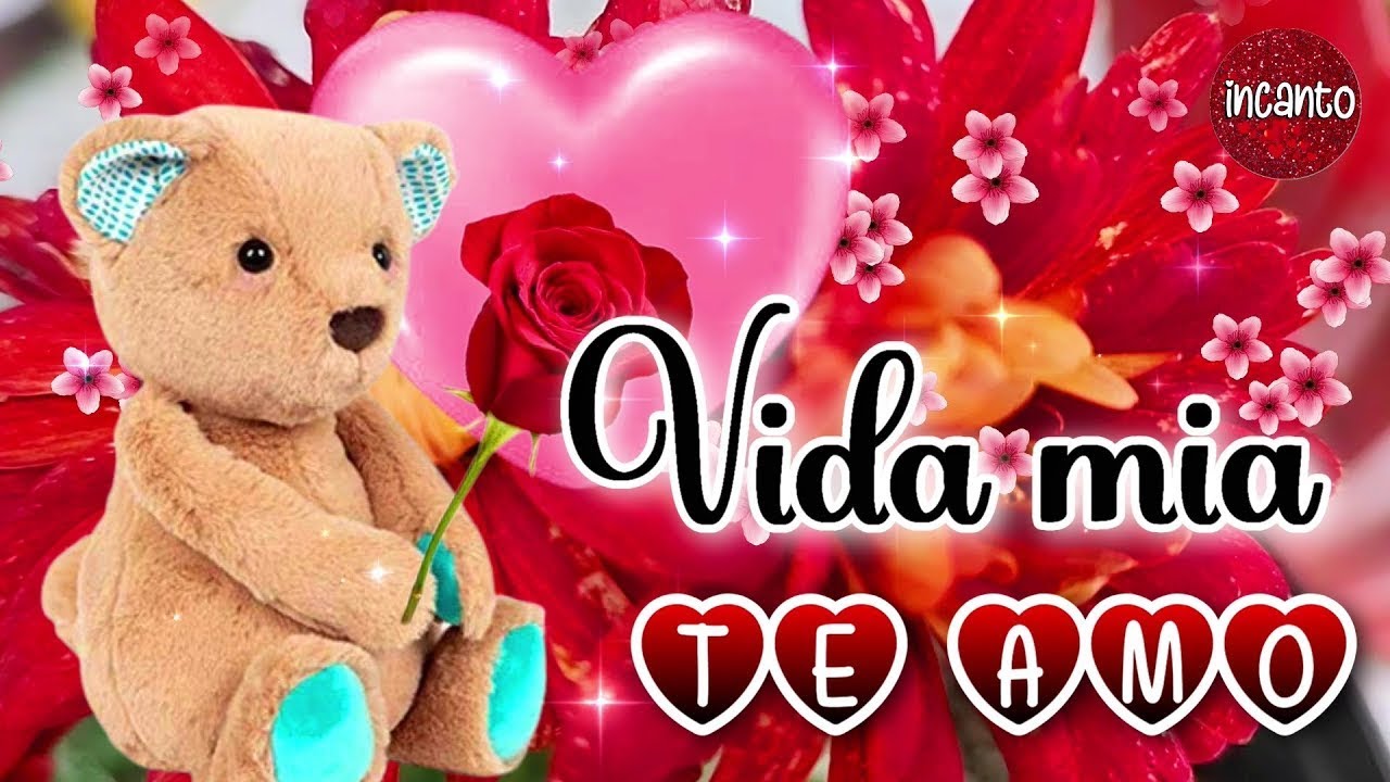 Uno de los vídeos más bellos y románticos que habrás visto en tu vida, El vídeo mas bonito del mundo