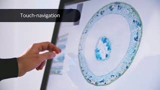 Precipoint O8/M8: Un  Microscope numérique qui fonctionne comme un Scanner!