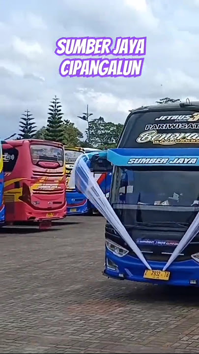 Bus Telolet Goyang Maumere ( Tirta Sumber Jaya Cipangalun )